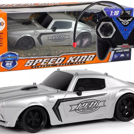 Nuotoliniu būdu valdomas sportinis automobilis 1:18 – sidabrinis lenktyninis modelis „Champion Pilot“