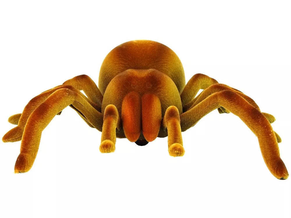 Nuotoliniu būdu valdoma tarantula