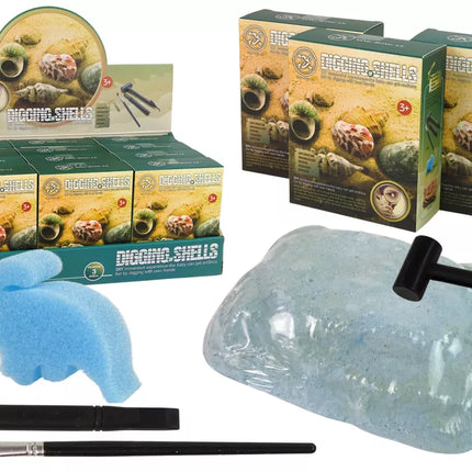 Kriauklių kasinėjimo rinkinys – 3 modeliai
