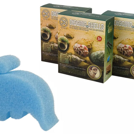Kriauklių kasinėjimo rinkinys – 3 modeliai