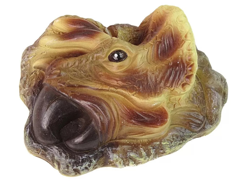 Dinozauro triceratopo kasinėjimo rinkinys