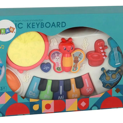 Edukacinis pianinas drugeliai instrumentai