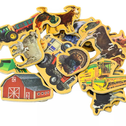 Medinių magnetukų rinkinys