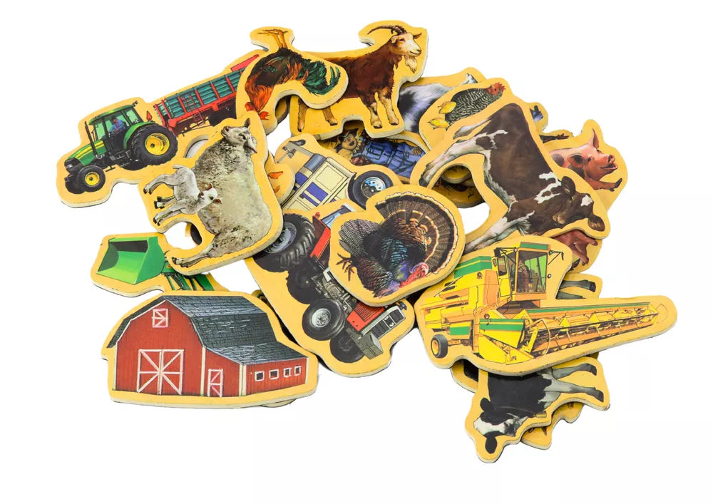 Medinių magnetukų rinkinys