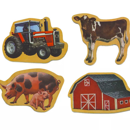 Medinių magnetukų rinkinys