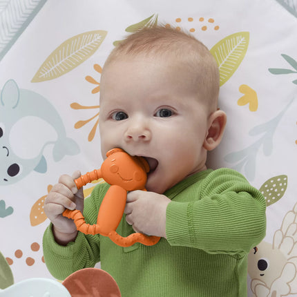 FISHER-PRICE kramtukas – Spalvotas draugas (JFJ95)