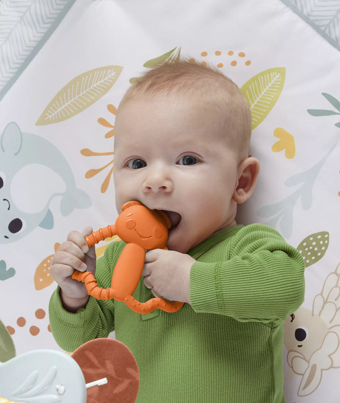 FISHER-PRICE kramtukas – Spalvotas draugas (JFJ95)