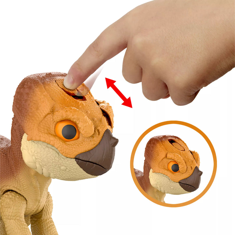 JURASSIC WORLD interaktyvus dinozauras – Aquilops (JGC01)