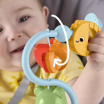 FISHER-PRICE sensorinis žaislas (JHB46)