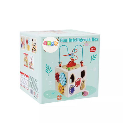 Edukacinis medinis kubas