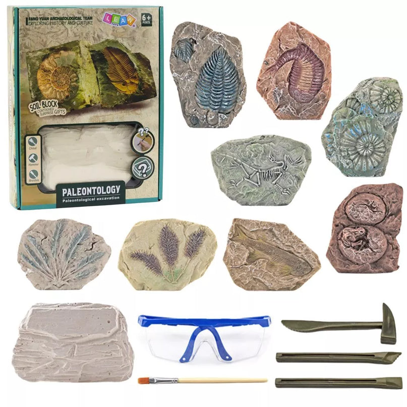 Edukacinis paleontologijos kasinėjimų rinkinys – gipsinis blokas ir įrankiai