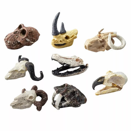 Edukacinis kaukolės kasinėjimų archeologijos rinkinys vaikams