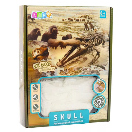 Edukacinis kaukolės kasinėjimų archeologijos rinkinys vaikams