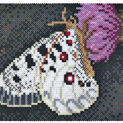 HAMA ART kūrybinis karoliukų rinkinys BUTTERFLY