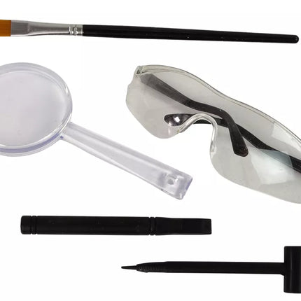 Archeologijos inkinys su dinozauro skeletu ir archelogo įrankiais