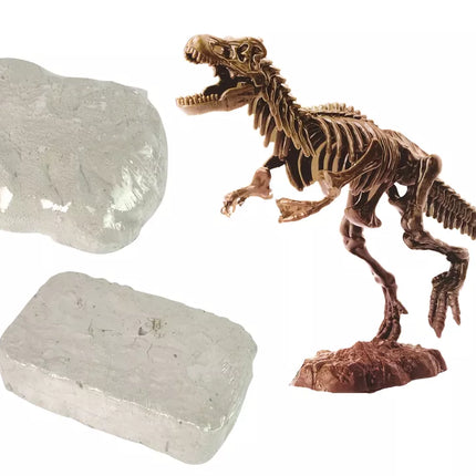 Archeologijos inkinys su dinozauro skeletu ir archelogo įrankiais