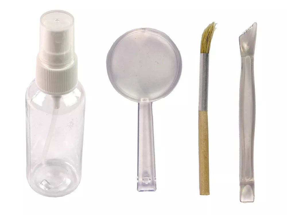 Tiranozauro dinozauro kasinėjimų edukacinis rinkinys