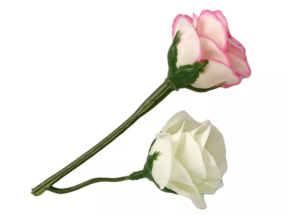 Ilgaplaukė lėlė Emily su katinu ir rožėmis