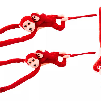 Pliušinė raudona beždžionė su kūdikiu