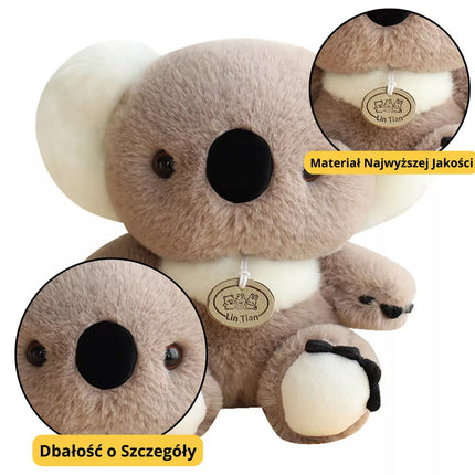 Pliušinė pilka Koala