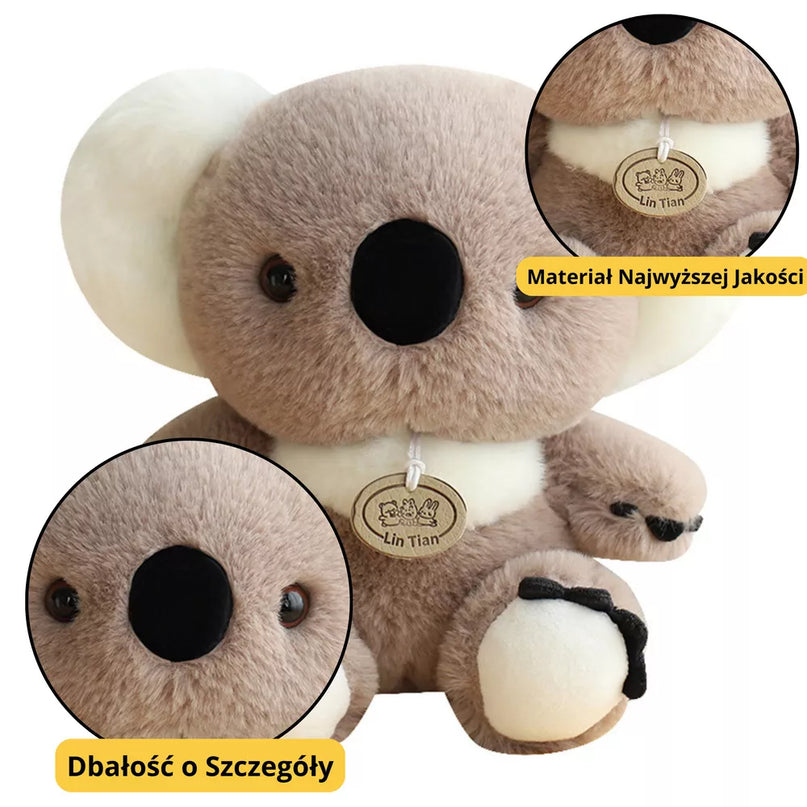 Pliušinė pilka Koala