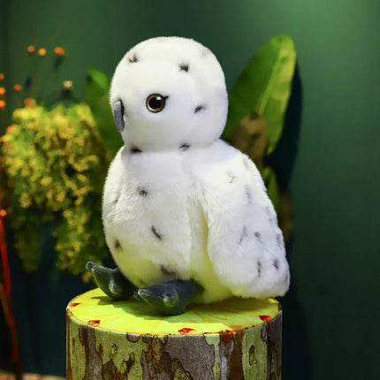 Balta pliušinė pelėda