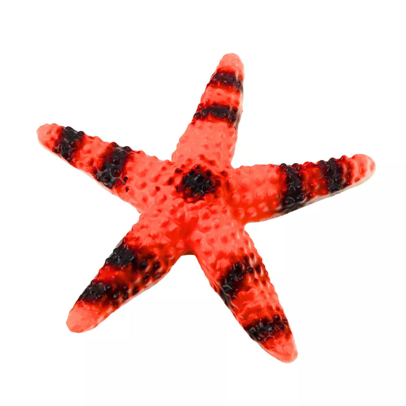 Jūros gyvūnų figūrėlių rinkinys 5 vnt