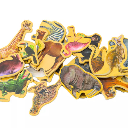 20 įvairių medinių gyvūnų magnetų rinkinys