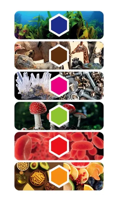 Clementoni Scientific Fun – Interaktyvus skaitmeninis mikroskopas su AI ir Wi‑Fi kamera