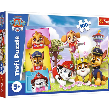 Dėlionė 100 detalių – „Drąsios mergaitės“ – Paw Patrol