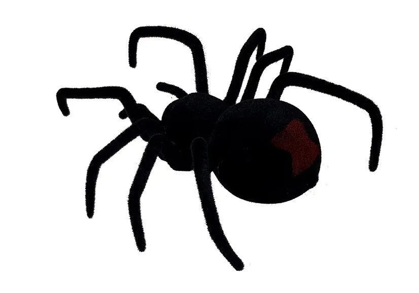 Didelis nuotoliniu būdu valdomas voras „Black Widow“