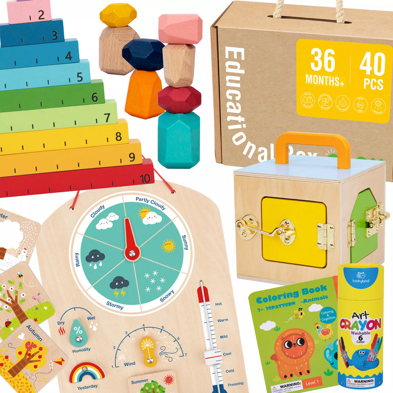 6in1 Montessori žaislų rinkinys
