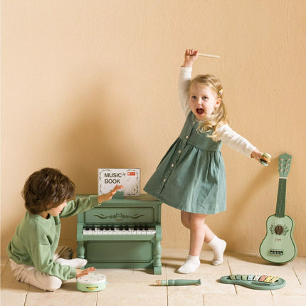 CLASSIC WORLD medinių muzikos instrumentų rinkinys