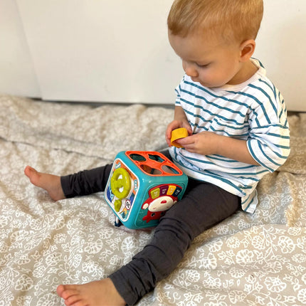 Woopie 6in1 sensorinis edukacinis kubas su pianinu, formelėmis ir labirintais