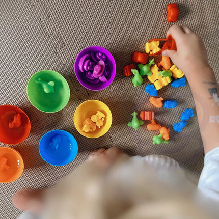 WOOPIE Montessori edukacinis žaidimas spalvų rūšiuotojas dinozaurai 56 vnt.