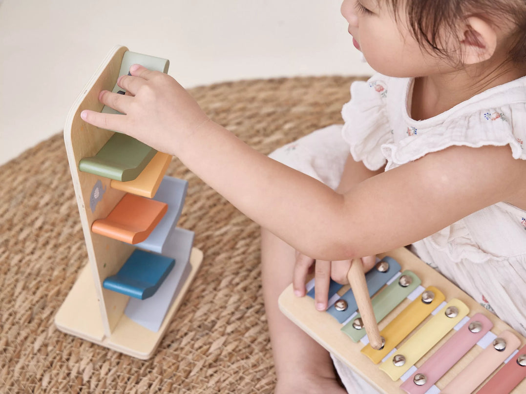 VIGA edukacinis žaislų rinkinys vaikams nuo 18 mėnesių iki 24 mėnesių