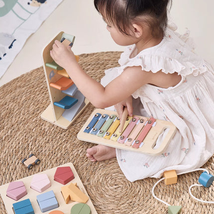 VIGA edukacinis žaislų rinkinys vaikams nuo 18 mėnesių iki 24 mėnesių