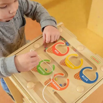 MASTERKIDZ magnetinis labirintas