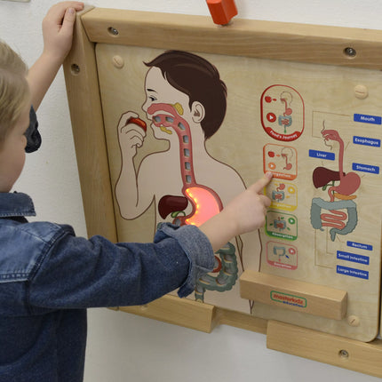 MASTERKIDZ edukacinė – virškinimo sistemos lenta