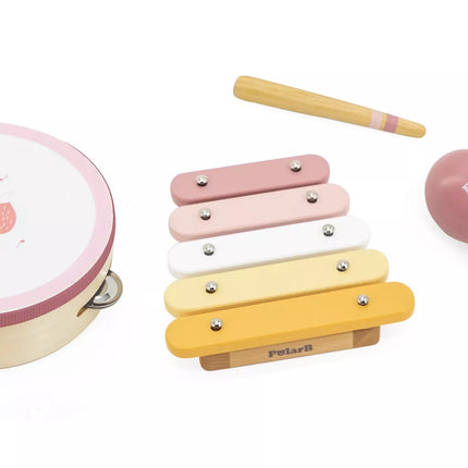 VIGA PolarB muzikos instrumentų rinkinys, rožinis