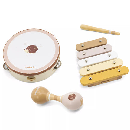 VIGA Polarb Muzikos instrumentų rinkinys su ežiuku