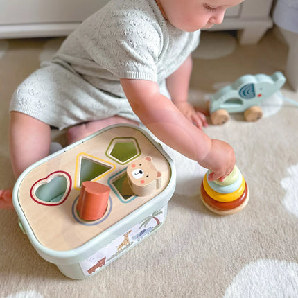 Woopie Green 3in1 Edukacinis rinkinys mažyliams