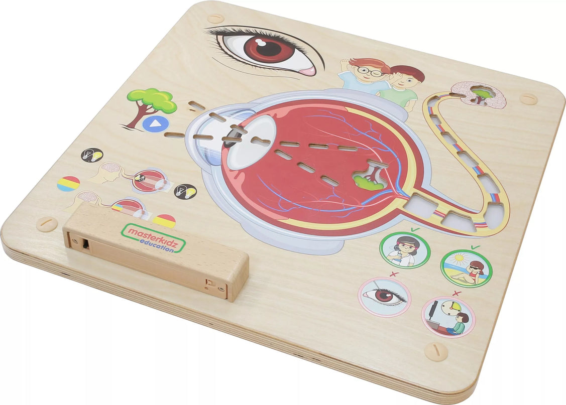 MASTERKIDZ Montessori regos pojūčių ugdymo lenta