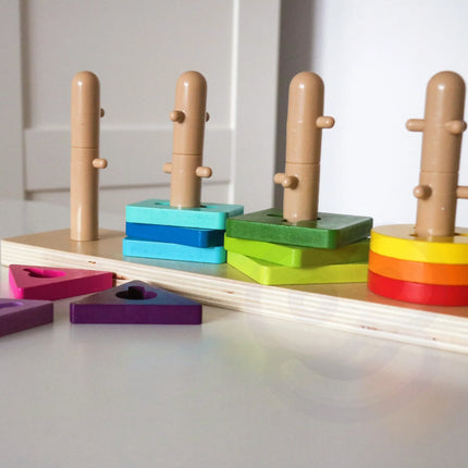 TOOKY TOY formų rūšiuoklis su spalvingomis Montessori kaladėlėmis