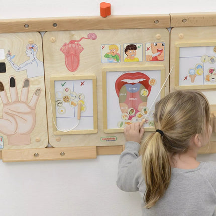 Masterkidz edukacinė sensorinė lenta „Uoslė“