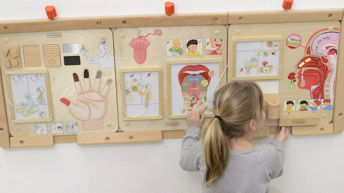 Masterkidz edukacinė sensorinė lenta „Uoslė“