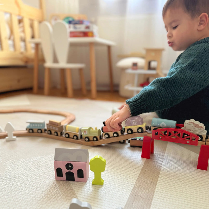 TOOKY TOY mediniai magnetiniai vagonėliai