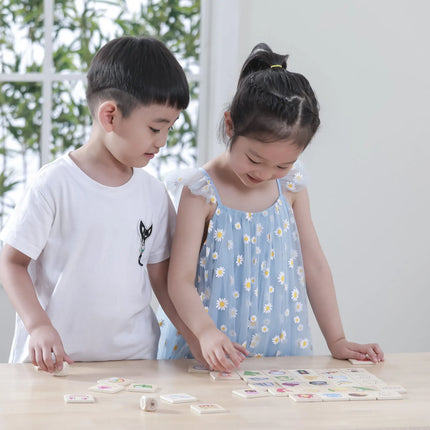 VIGA edukacinis žaidimas – pojūčių rūšiavimo dėlionė, Montessori