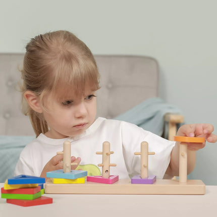 VIGA mediniai Montessori formos rūšiavimo blokai