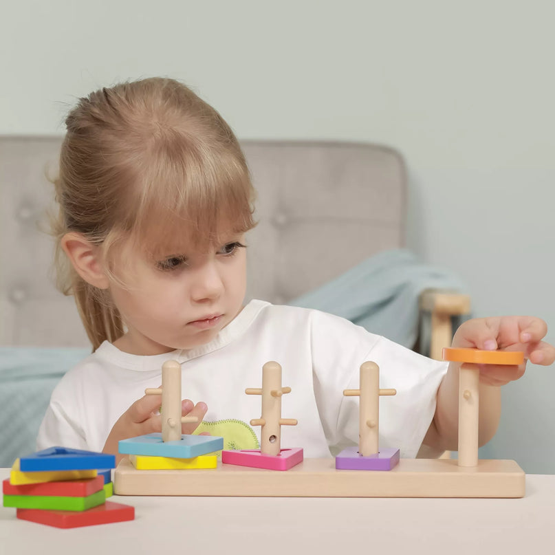 VIGA mediniai Montessori formos rūšiavimo blokai